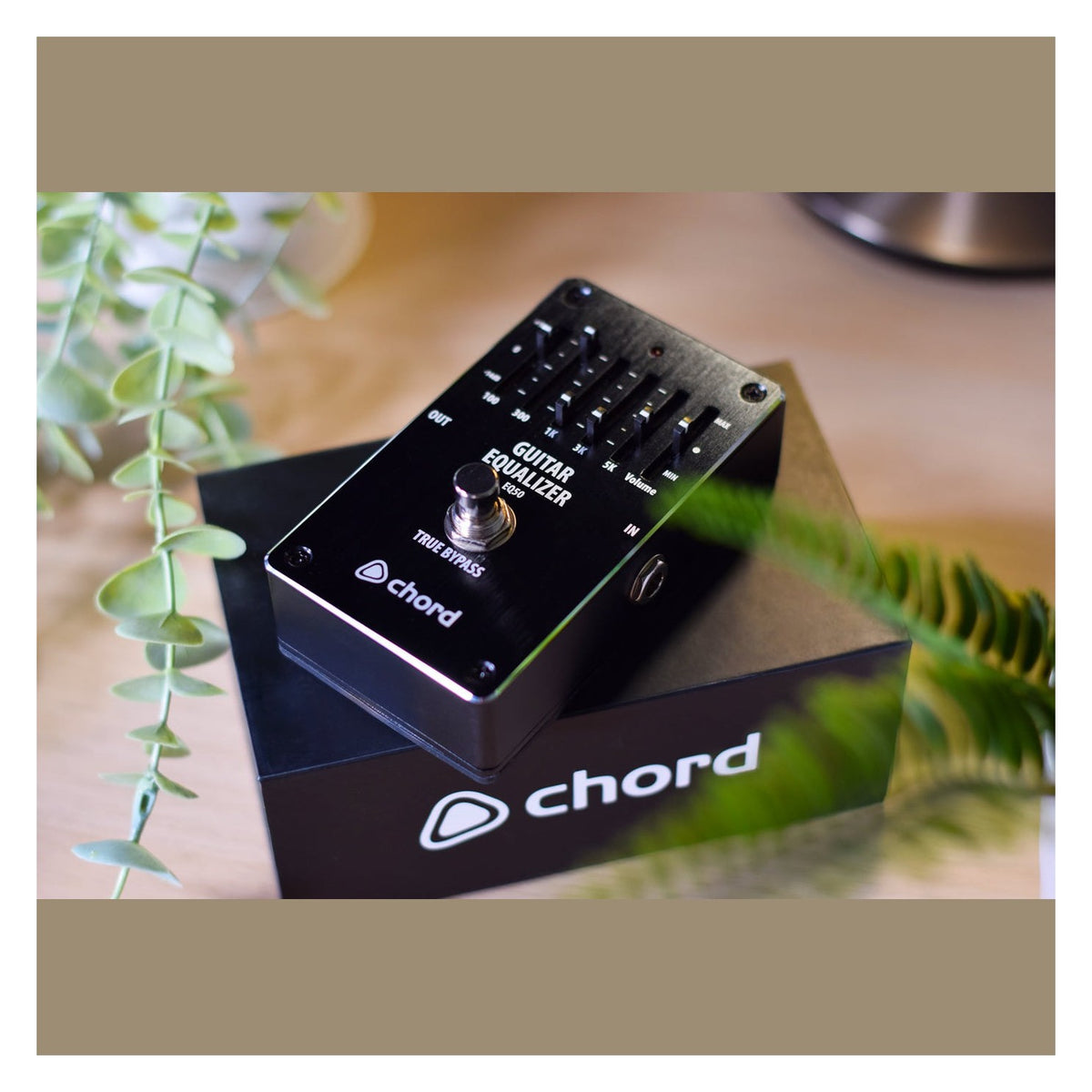 Chord EQ-50 5-Band Guitar EQ Effects Pedal 5