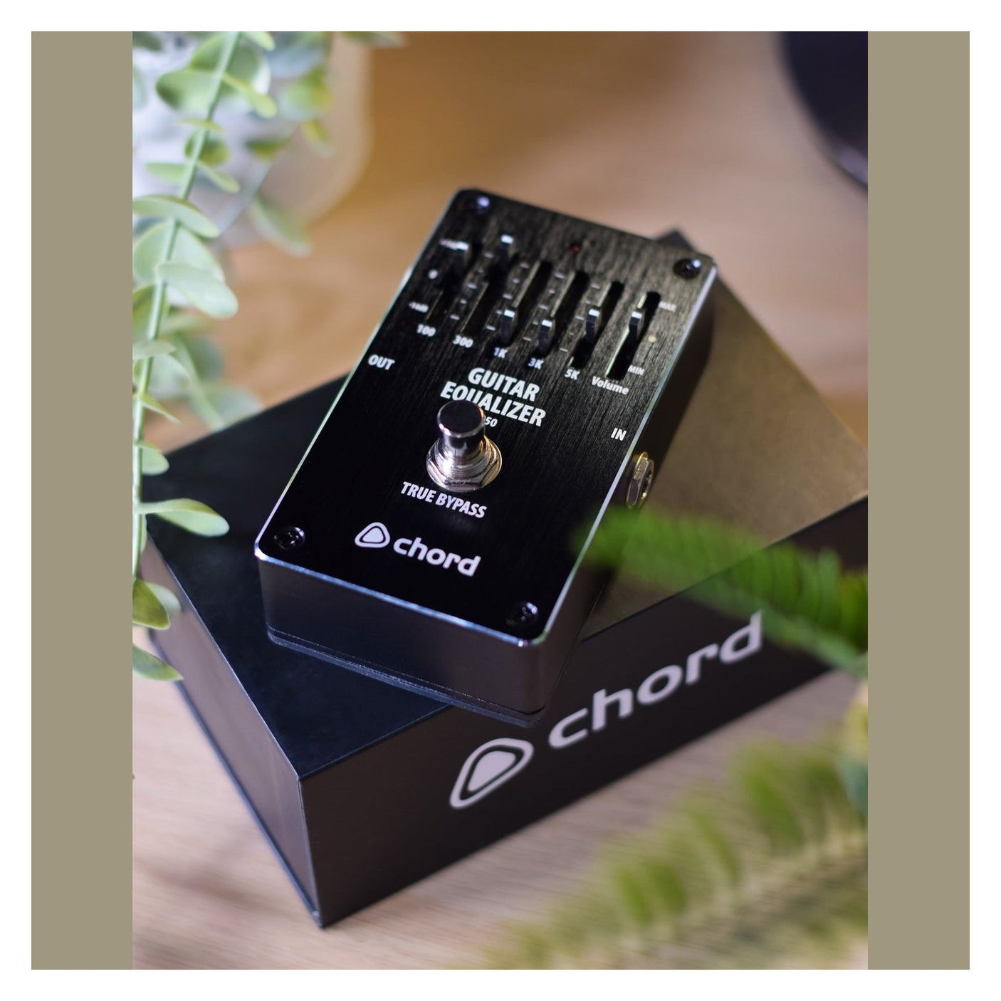 Chord EQ-50 5-Band Guitar EQ Effects Pedal 6