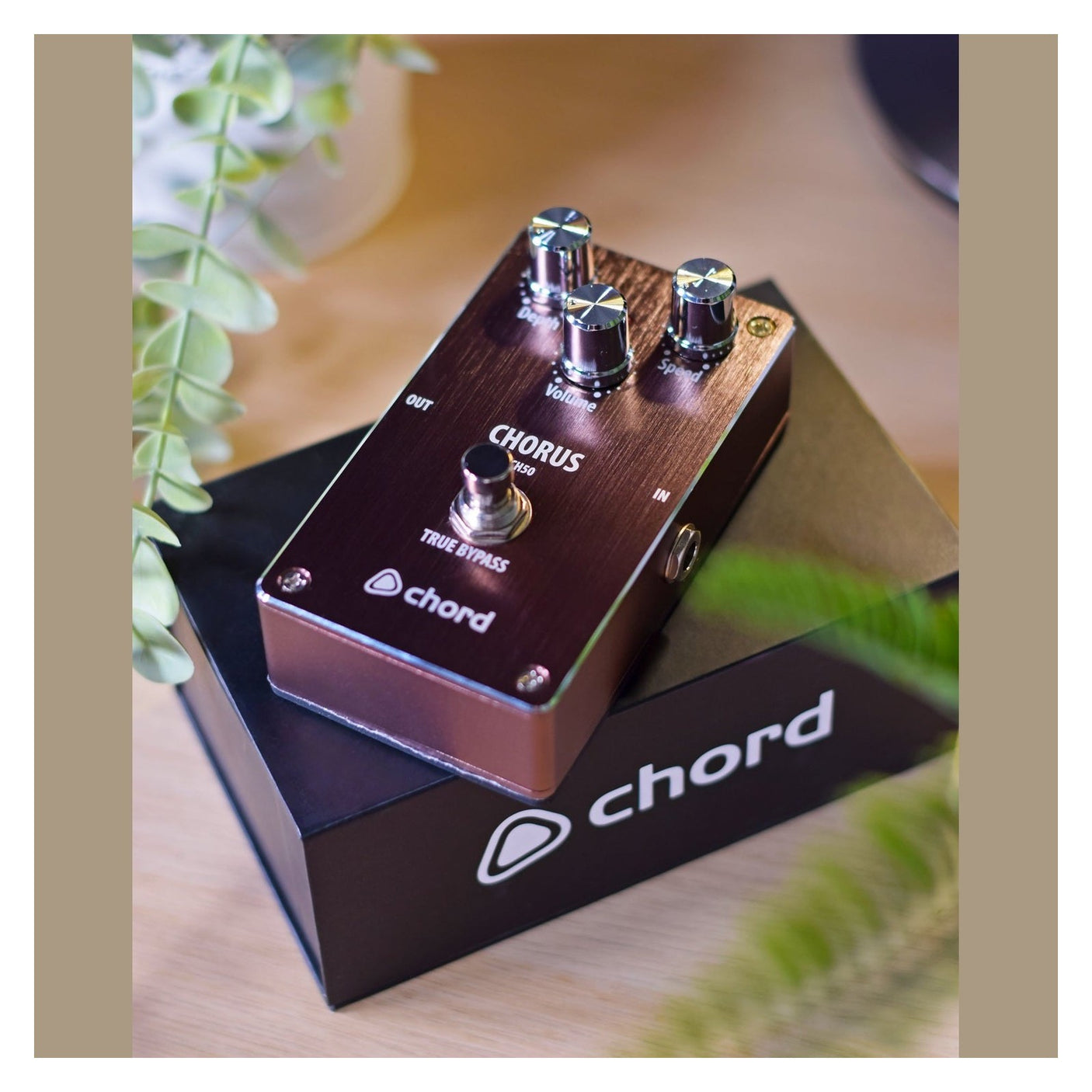 Chord CH-50 Chorus Effect Guitar Pedal 5
