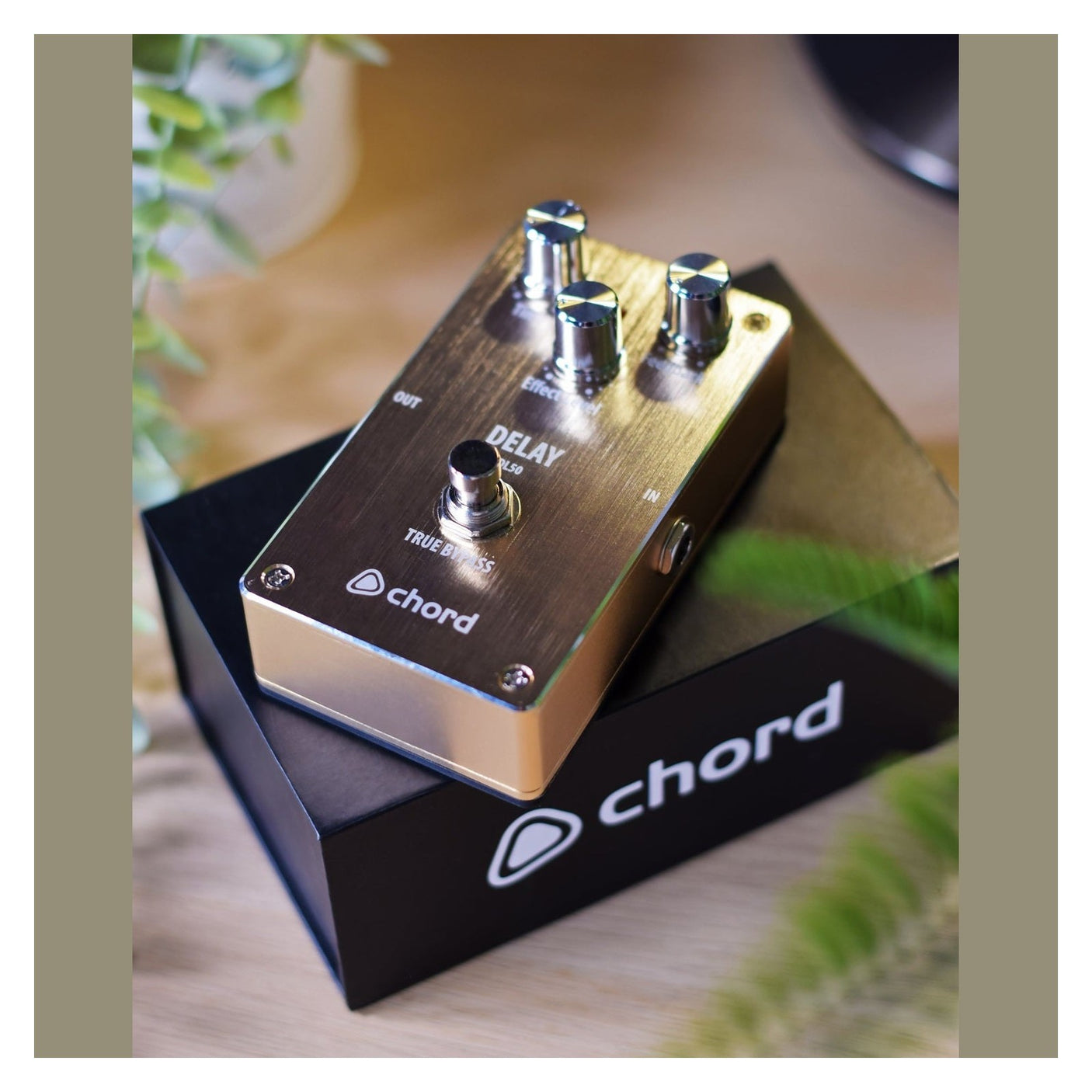 Chord DL-50 Delay Effect Guitar Pedal 5
