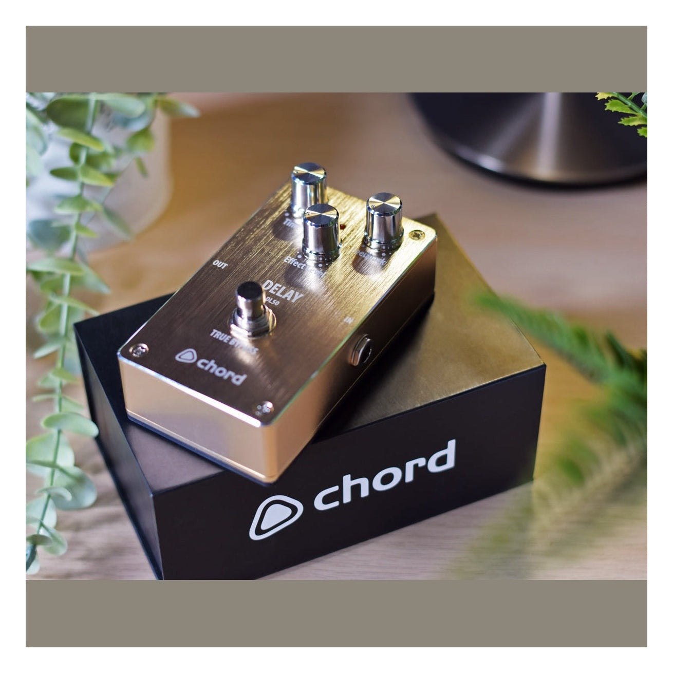 Chord DL-50 Delay Effect Guitar Pedal 6