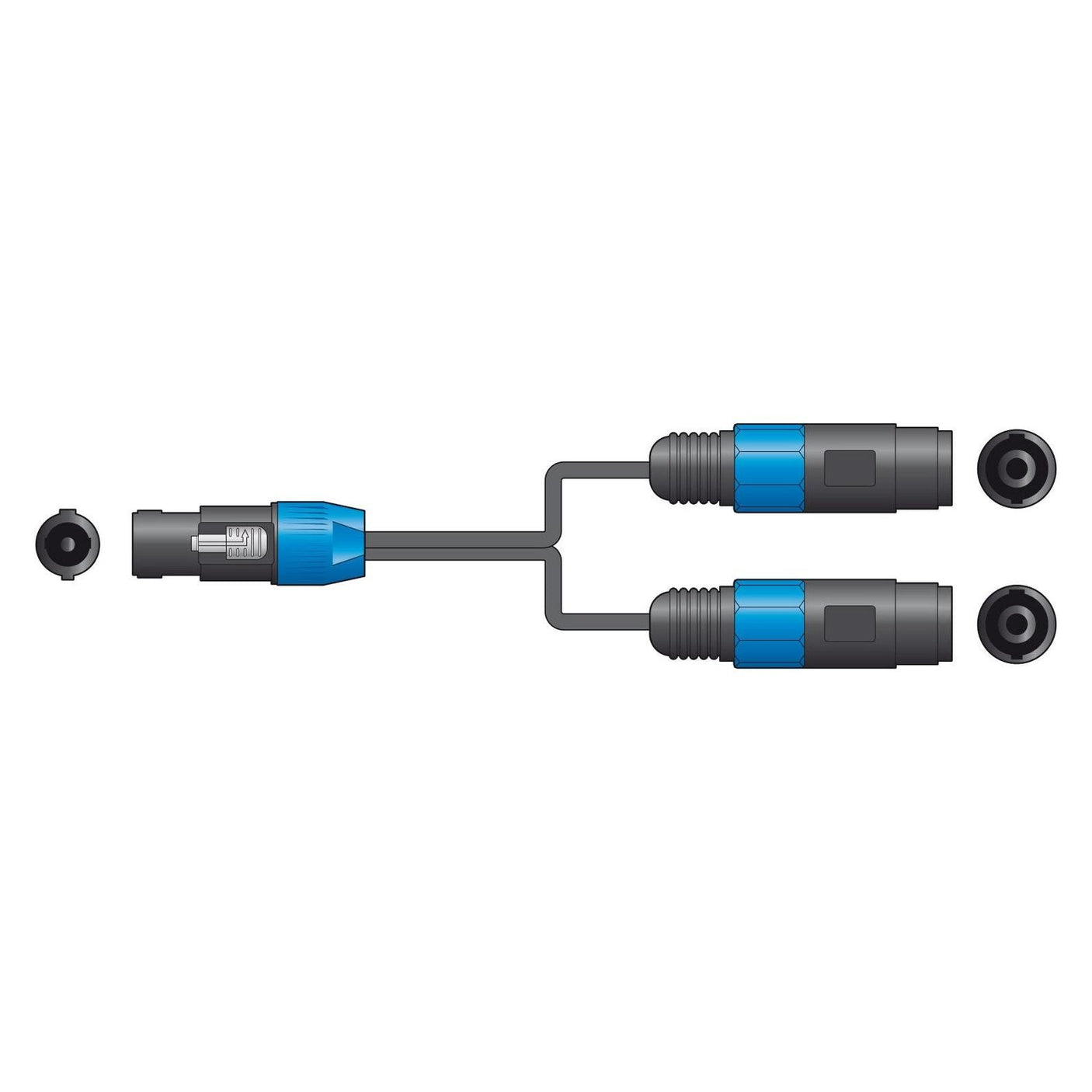 Citronic Speakon Splitter Lead – SPK Plug to 2 x SPK Sockets 4