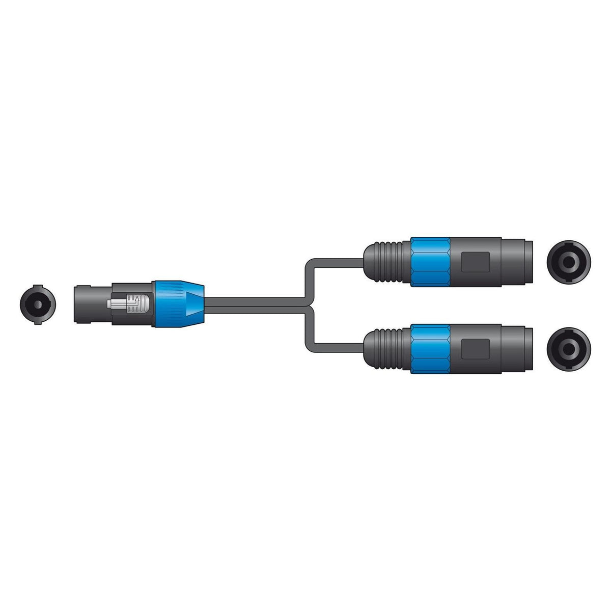 Citronic Speakon Splitter Lead – SPK Plug to 2 x SPK Sockets 4