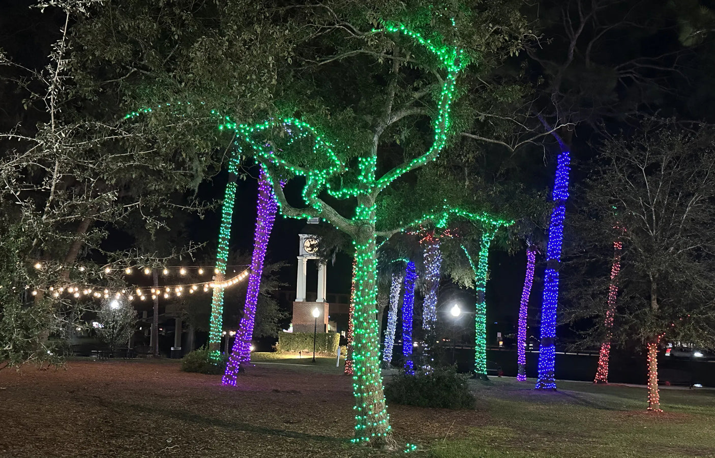 Elumen8 10m Heavy-Duty Rubber Dimmable LED String Lights – Cool White, Black Cable 3