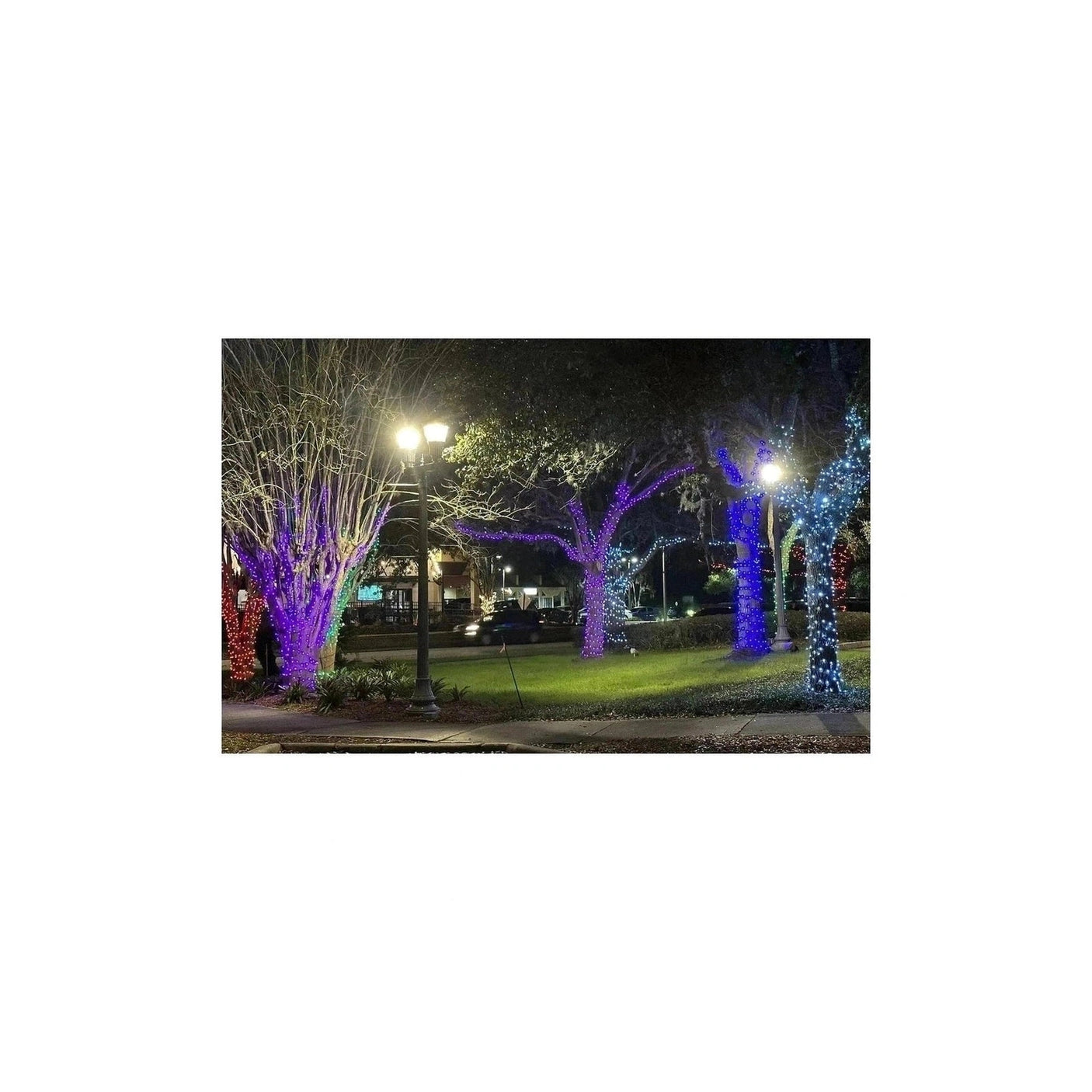 Elumen8 10m Heavy-Duty Rubber Dimmable LED String Lights – Blue & Cool White, Black Cable 5