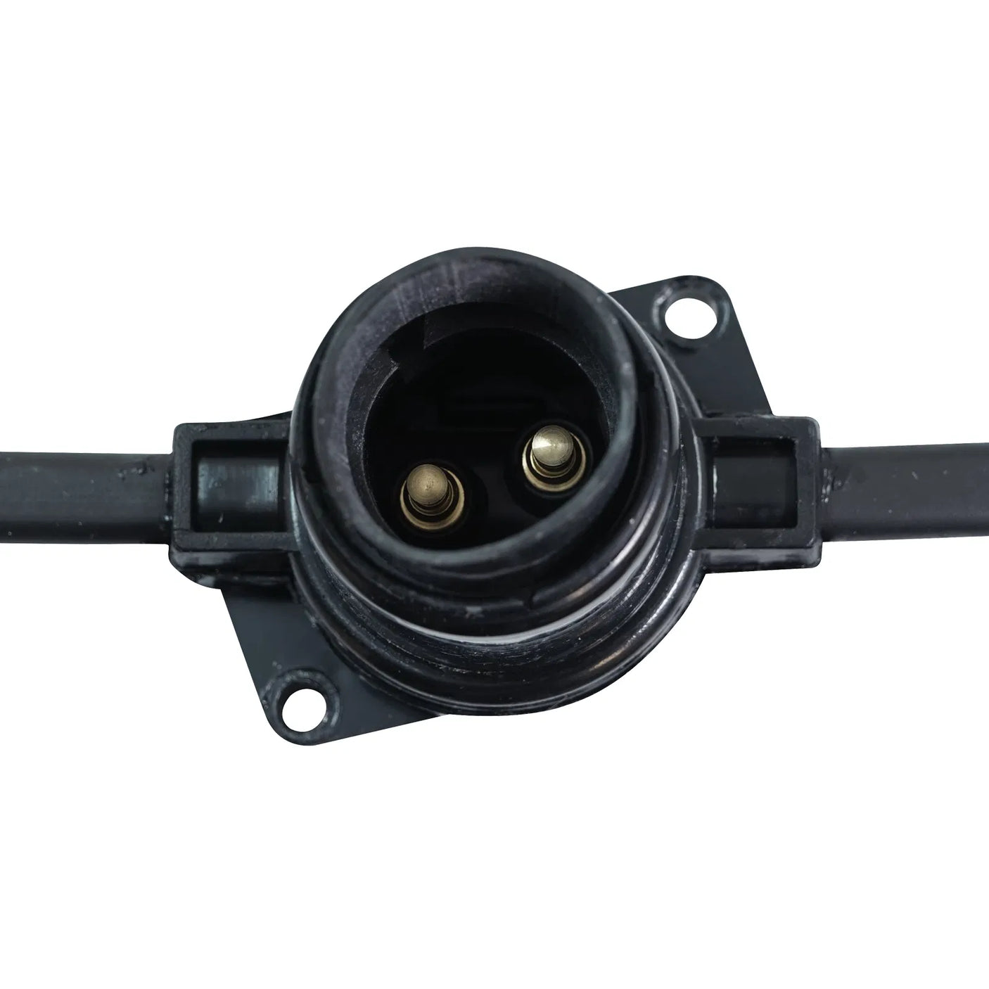 Elumen8 25m Heavy Duty Rubber Festoon String – 1m Spacing, 16A Plug & Socket Lamps Not Included 6