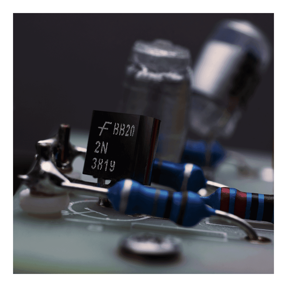 Warm Audio WA-87 R2 Large-Diaphragm Multi-Pattern Condenser Microphone Nickel 5