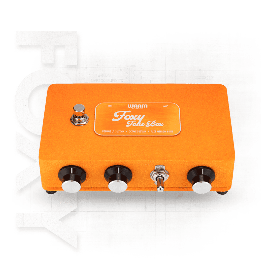 Warm Audio Foxy Tone Box — Octave Fuzz Guitar Pedal 2