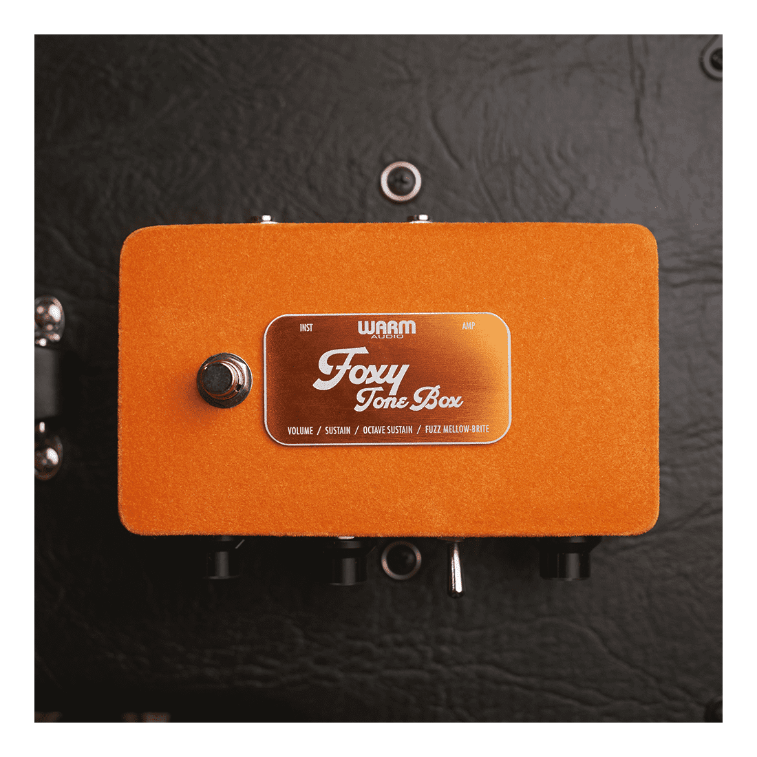 Warm Audio Foxy Tone Box — Octave Fuzz Guitar Pedal 9
