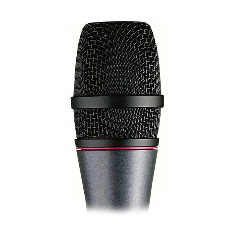 Sennheiser e865S Electret Condenser Supercardioid Microphone with Switch 2