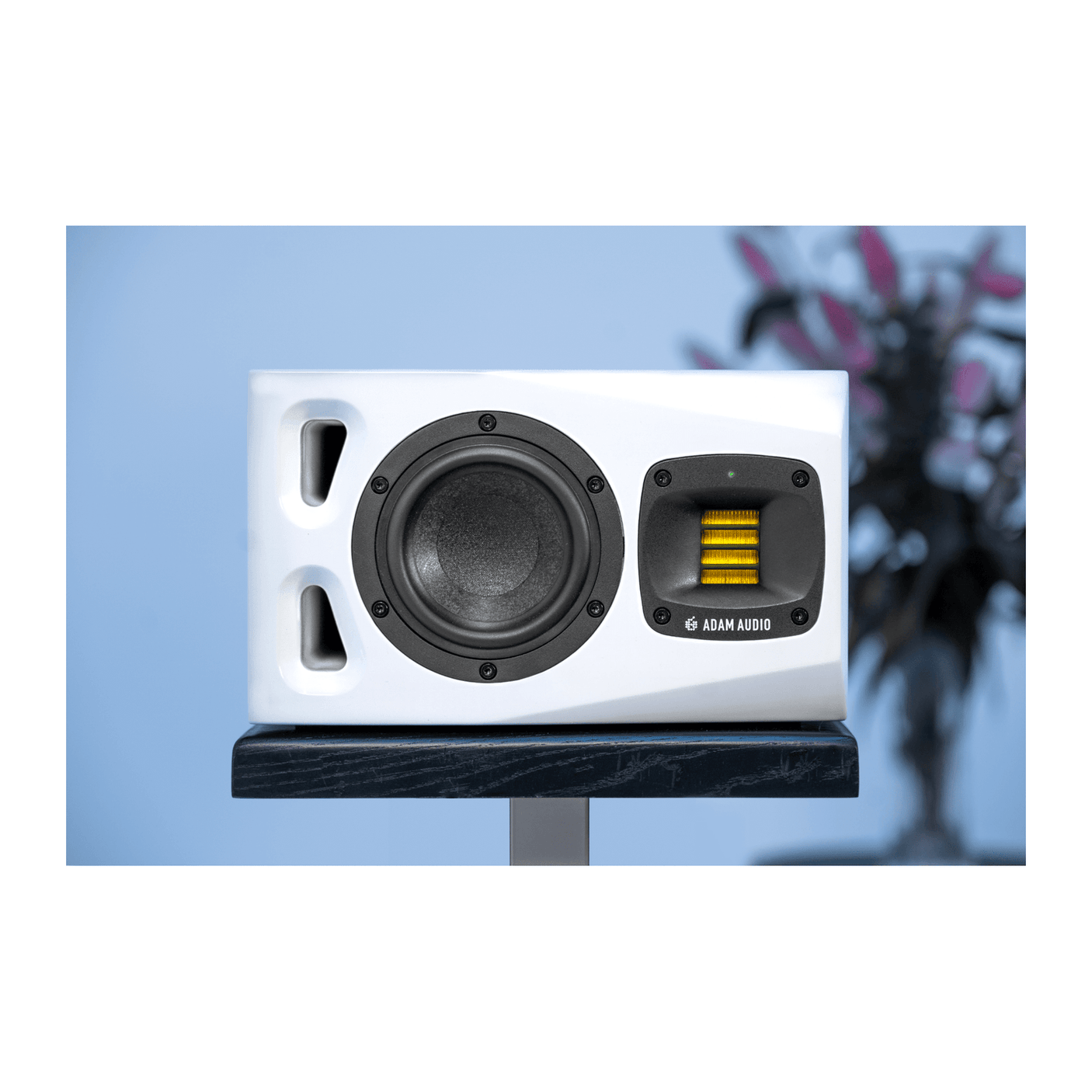 ADAM Audio A4V 4" Active Studio Monitors, Limited Edition White (Pair)