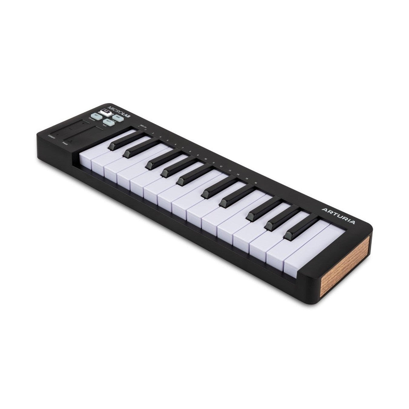 Arturia MicroLab MK3 Compact 25-Key MIDI Keyboard Controller – Black 4