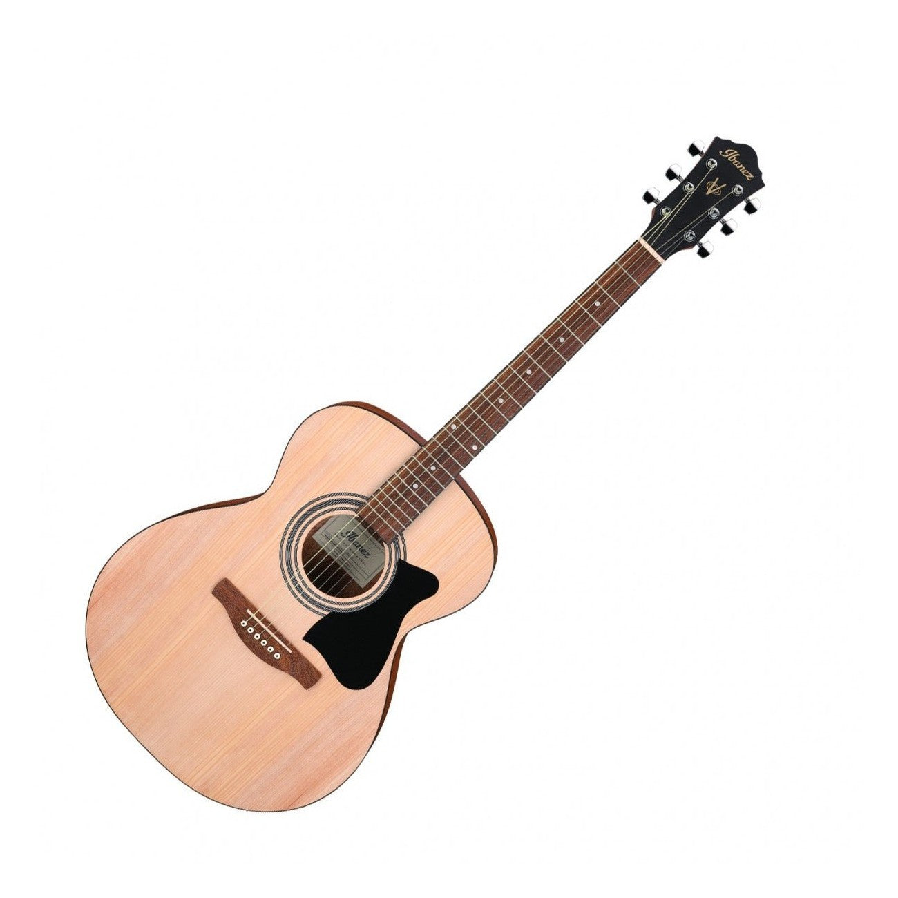Ibanez VC50NJP Grand Concert Acoustic Guitar Jam Pack, Open Pore Natural 2