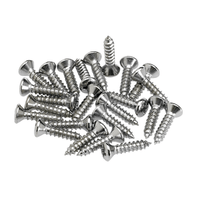 Fender Pickguard/Control Plate Mounting Screws - Pack of 24 1