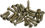 Fender Road Worn Pickguard And Control Plate Screws, Nickel — Set Of 24 1