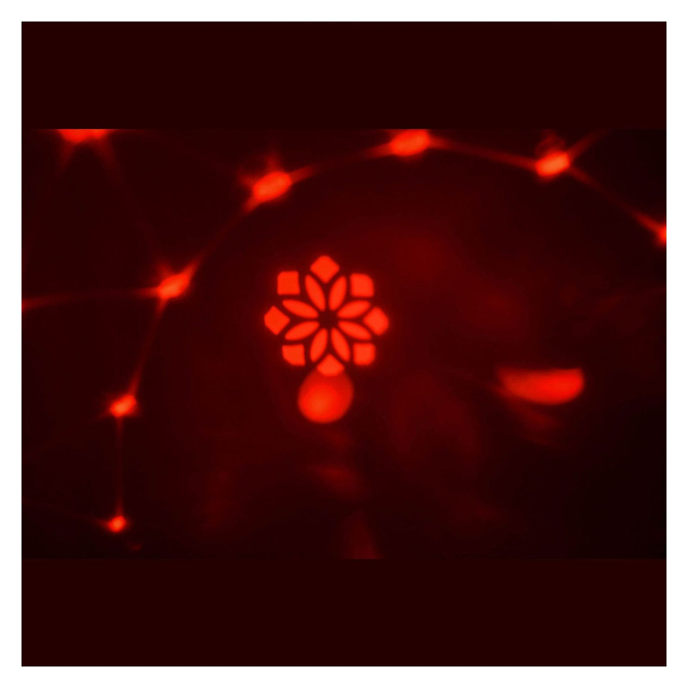 QTX Crystal Blaze Tabletop LED Party Light with GOBOs 4