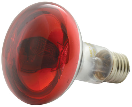 QTX R80 Red Coloured Reflector Bulb E27 60W 1
