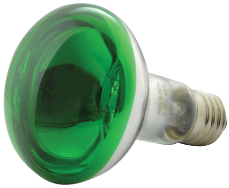 QTX R80 Green Coloured Reflector Bulb E27 60W 1