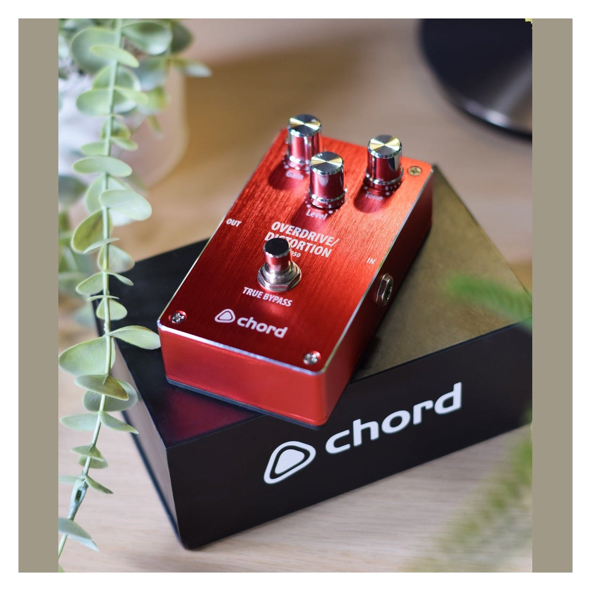 Chord OD-50 Overdrive / Distortion Guitar Pedal 4