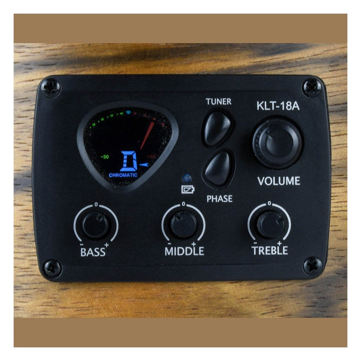 Chord Native Series Electro-Acoustic Guitar — Dahoma 6