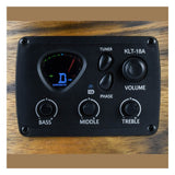 Chord Native Series Electro-Acoustic Guitar — Dahoma 6