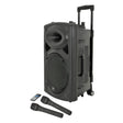 QTX QR12PA Portable PA Speaker with TWS 12" + 2x UHF Mics 1