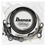 Ibanez IEGS61 Electric Guitar Strings Regular Light Gauge, Silver 3