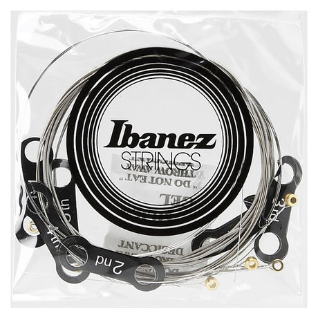 Ibanez IEGS61 Electric Guitar Strings Regular Light Gauge, Silver 3