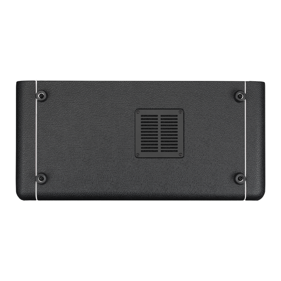 Laney BCC-DB-EAST - Nathan East Signature 1000W Bass Amp Head 5