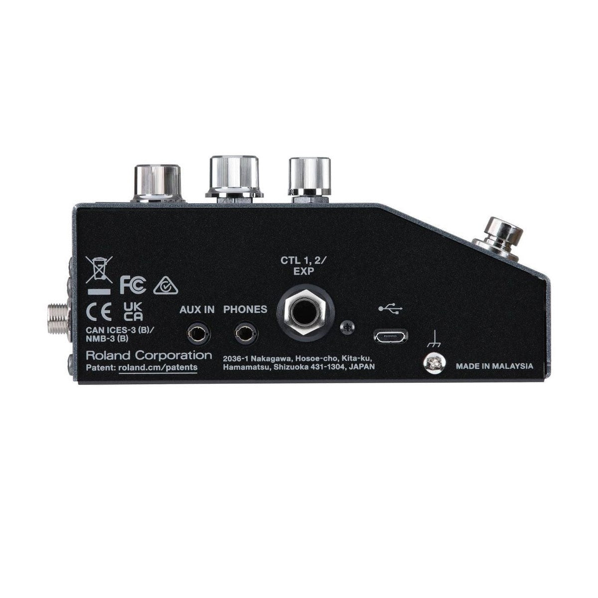 BOSS IR-200 Amp & IR Pedal Side View