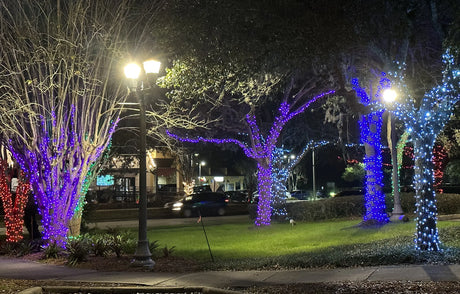 Elumen8 10m Heavy-Duty Rubber Dimmable LED String Lights – Cool White, Black Cable 5