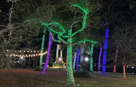 Elumen8 10m Heavy-Duty Rubber Dimmable LED String Lights – Blue & Cool White, Black Cable 3