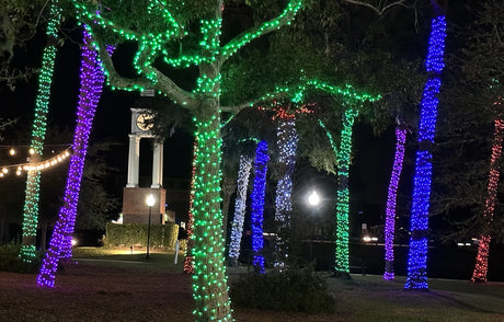 Elumen8 10m Heavy-Duty Rubber Dimmable LED String Lights – Blue & Cool White, Black Cable 4