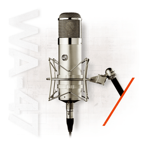 Warm Audio WA-47 Large-Diaphragm Tube Condenser Microphone 1
