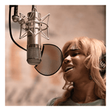 Warm Audio WA-47 Large-Diaphragm Tube Condenser Microphone 5