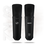 Warm Audio WA-87 R2 Large-Diaphragm Multi-Pattern Condenser Microphone Black 2