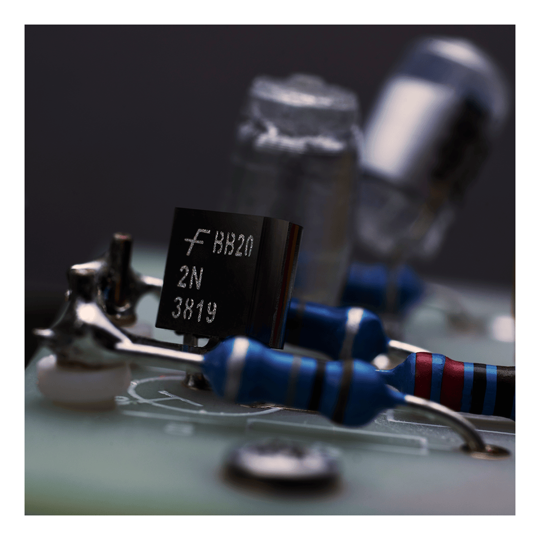 Warm Audio WA-87 R2 Large-Diaphragm Multi-Pattern Condenser Microphone Nickel 5