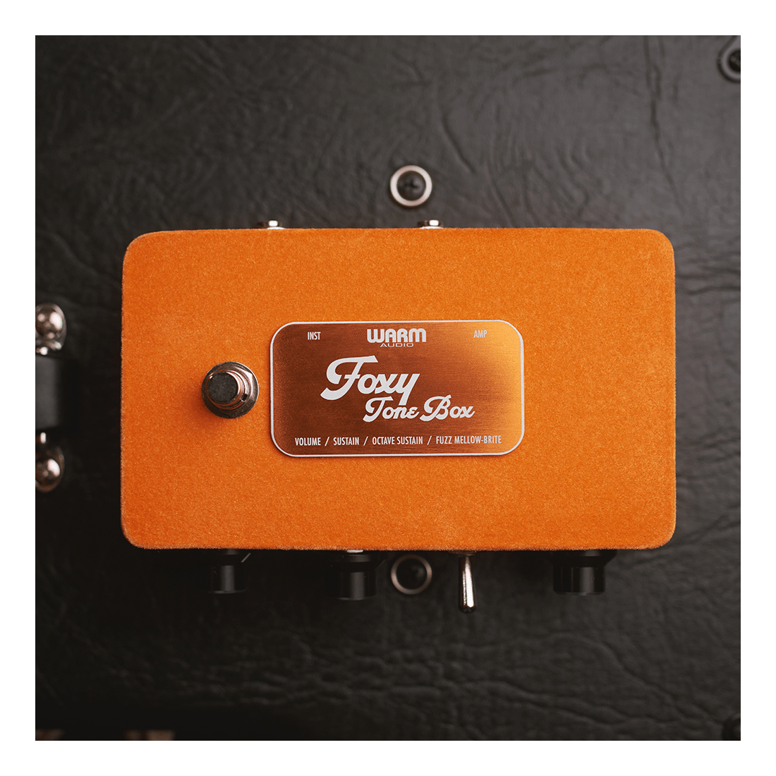 Warm Audio Foxy Tone Box — Octave Fuzz Guitar Pedal 9