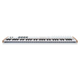 Arturia KeyLab 61 MK3 MIDI Keyboard Controller – White 5