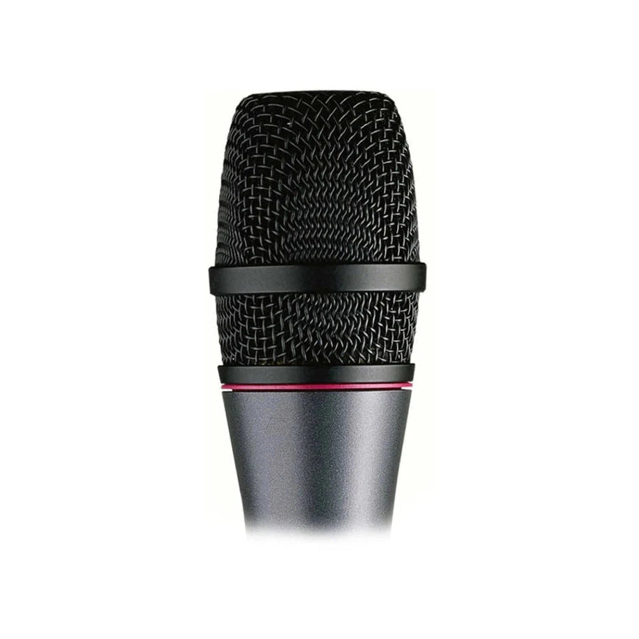 Sennheiser e865-S Premium Electret Condenser Supercardioid Microphone with Silent Switch 2
