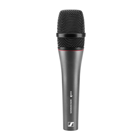 Sennheiser e865 Electret Condenser Supercardioid Microphone 2