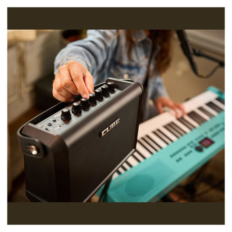 Roland CUBE Street Mini - Battery Powered Multi-Instrument 2.1 Portable PA Speaker 10