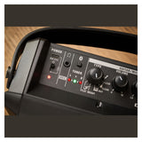 Roland CUBE Street Mini - Battery Powered Multi-Instrument 2.1 Portable PA Speaker 15