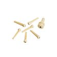 D'Addario Injected Moulded Plastic Bridge Pins Set with End Pin - Ivory with Ebony Dot PWPS12 1
