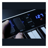 IK Multimedia iRig Keys I/O 25 MIDI Keyboard Controller & Audio Interface 10