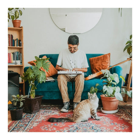 Arturia MiniLab 3 25-Key MIDI Keyboard Controller – White 9