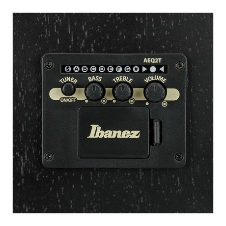 Ibanez V44CE Dreadnought Acoustic-Electric Guitar — Weathered Black, Open Pore 10