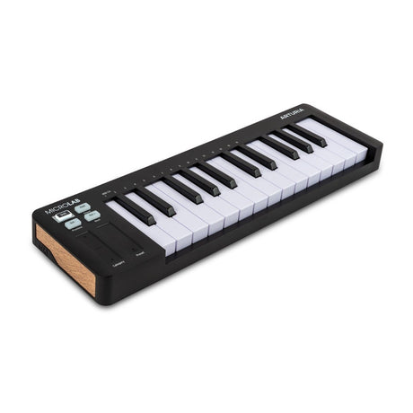Arturia MicroLab MK3 Compact 25-Key MIDI Keyboard Controller – Black 2