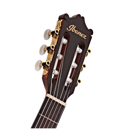 Ibanez GA5TCE Thinline Classical Acoustic-Electric Guitar — Amber 4