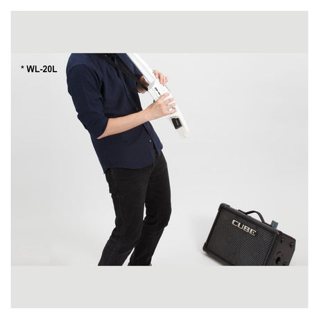 BOSS WL-20L Low Impedence Wireless Instrument System 4